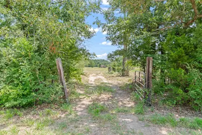 000 County Road 3520, Brownsboro, TX 75756 - Photo 13