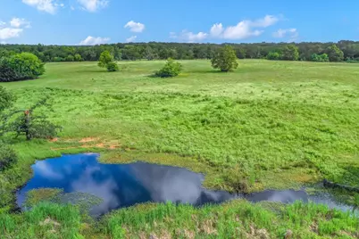 80 +/- Acres Private Road 5317, Grand Saline, TX 75140 - Photo 13