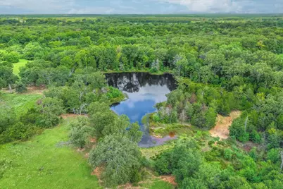 80 +/- Acres Private Road 5317, Grand Saline, TX 75140 - Photo 5