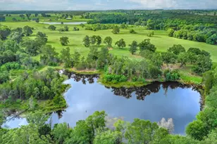 80 +/- Acres Private Road 5317, Grand Saline, TX 75140 - Photo 1