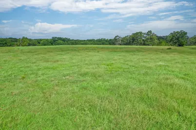 80 +/- Acres Private Road 5317, Grand Saline, TX 75140 - Photo 9