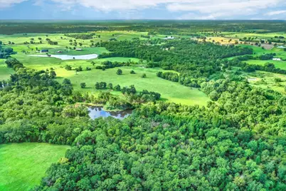 80 +/- Acres Private Road 5317, Grand Saline, TX 75140 - Photo 23