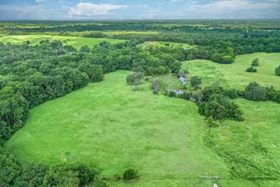 80 +/- Acres Private Road 5317, Grand Saline, TX 75140 - Photo 21