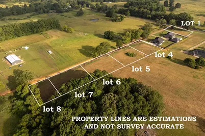 241 County Road 3421 (Lot 6), Bullard, TX 75757 - Photo 3