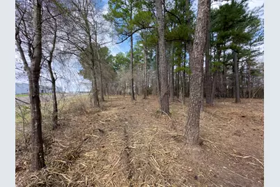 3363 Fm 349, Kilgore, TX 75662 - Photo 13