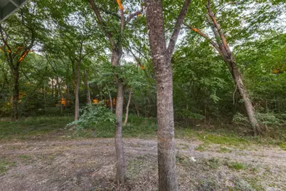 2990 County Road 568, Farmersville, TX 75442 - Photo 29