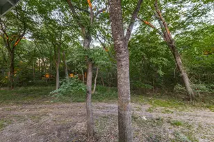 2990 Co Rd 568, Farmersville, TX 75442 - Photo 29