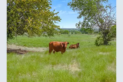 5030 N Fm 148, Crandall, TX 75114 - Photo 23