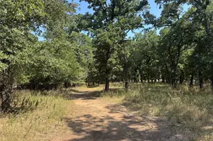121 Comanche Moon Ct, Decatur, TX 76234 - Photo 37