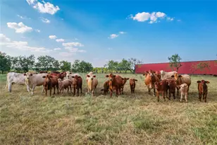 1829 W Fm 1246, Thornton, TX 76687 - Photo 31