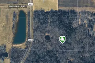 270 Vz County Road 4419, Ben Wheeler, TX 75754 - Photo 1