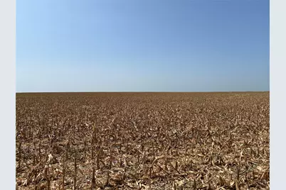 Tbd State Hwy 171, Covington, TX 76636 - Photo 11