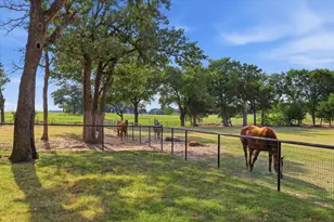 12 Co Rd 2114, Gainesville, TX 76240 - Photo 23