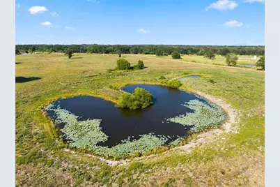 Tbd Private Road 607, Teague, TX 75860 - Photo 5