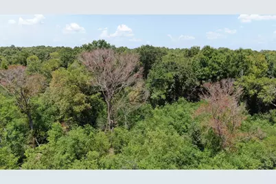 0 Big Eddy Road, Chandler, TX 75758 - Photo 25