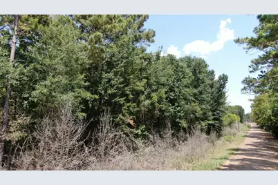 00 Big Eddy Road, Chandler, TX 75758 - Photo 13