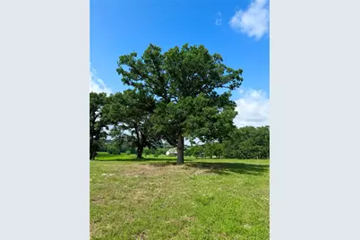 309 Grandview Drive, Athens, TX 75752 - Photo 5