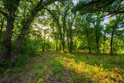 8606 Star Hollow Road, Lipan, TX 76462 - Photo 29