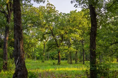 8606 Star Hollow Road, Lipan, TX 76462 - Photo 11