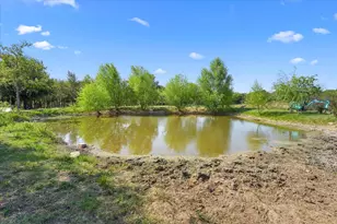 217 Co Rd 1001, Wortham, TX 76693 - Photo 23