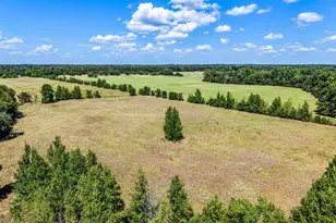 Tbd County Road 2331, Como, TX 75431 - Photo 1