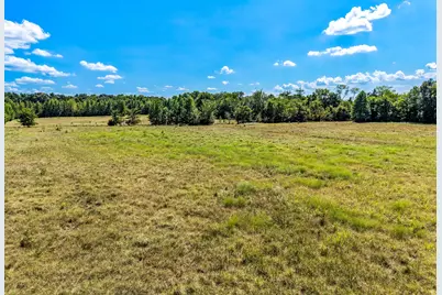 Tbd County Road 2331, Como, TX 75431 - Photo 11
