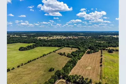 Tbd County Road 2331, Como, TX 75431 - Photo 9