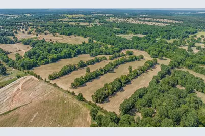 868 Nored Road, Forestburg, TX 76239 - Photo 13