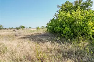 3966 Fm 2210 E, Perrin, TX 76486 - Photo 23
