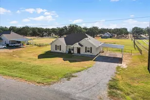 171 Brown Ln, Poolville, TX 76487 - Photo 3