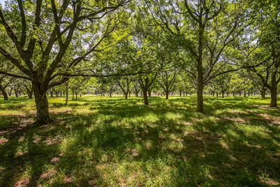 2525 Buckskin Drive, Granbury, TX 76049 - Photo 15