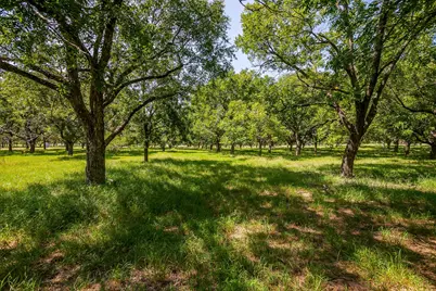 2525 Buckskin Drive, Granbury, TX 76049 - Photo 17