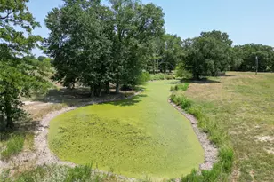 429 Co Rd 2610, Alba, TX 75410 - Photo 5