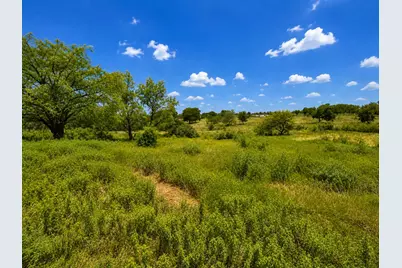 14197 County Road 4054, Kemp, TX 75143 - Photo 3