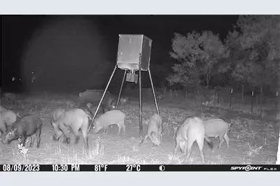 2417 Hwy 569 Highway S #1, Cisco, TX 76437 - Photo 29