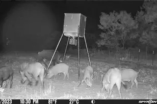 2417 Hwy 569 Hwy S, Cisco, TX 76437 - Photo 29