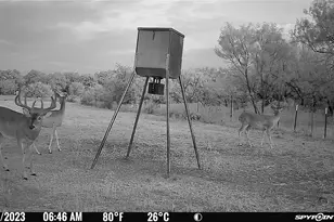 2417 Hwy 569 Hwy S, Cisco, TX 76437 - Photo 17