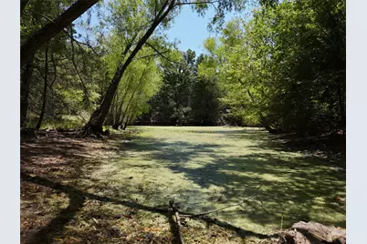 1600 Cr 2765, Honey Grove, TX 75446 - Photo 11