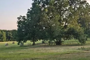 20086 County Rd 299, Arp, TX 75750 - Photo 5