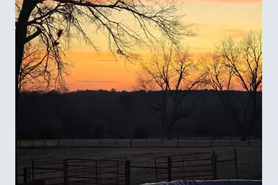 20086 County Road 299, Arp, TX 75750 - Photo 13