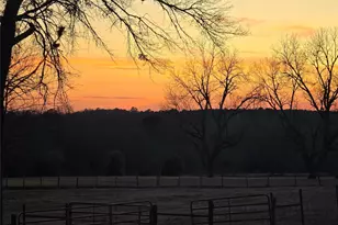 20086 County Rd 299, Arp, TX 75750 - Photo 13