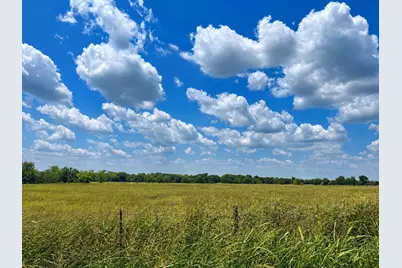 Tbd Cr 3561, Sulphur Bluff, TX 75481 - Photo 5