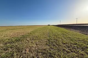 Tbd Fm 67 Hwy, Covington, TX 76636 - Photo 1