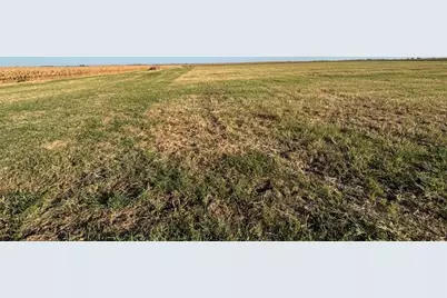Tbd Fm 67 Highway, Covington, TX 76636 - Photo 3