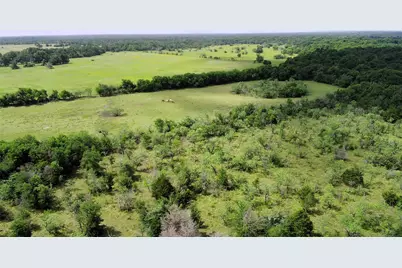 000 Lcr 663, Kosse, TX 76653 - Photo 5