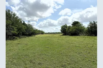000 Lcr 663, Kosse, TX 76653 - Photo 13