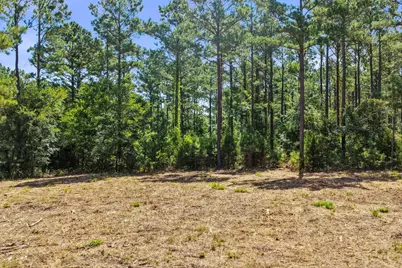 Lot 1 County Road 1240, Pittsburg, TX 75686 - Photo 11