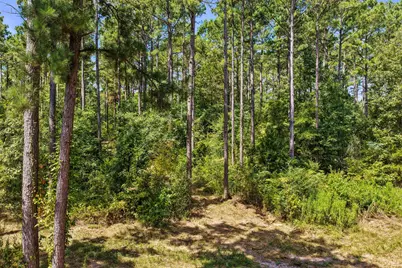 Lot 1 County Road 1240, Pittsburg, TX 75686 - Photo 25