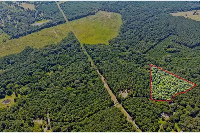 Lot 1 County Road 1240, Pittsburg, TX 75686 - Photo 1