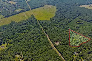 Lot 1 County Road 1240, Pittsburg, TX 75686 - Photo 1
